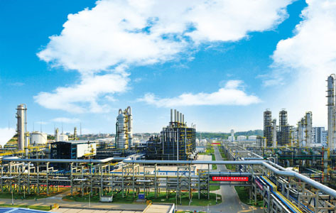 中科煉化項目正式開工，推動化工產業高質量發展